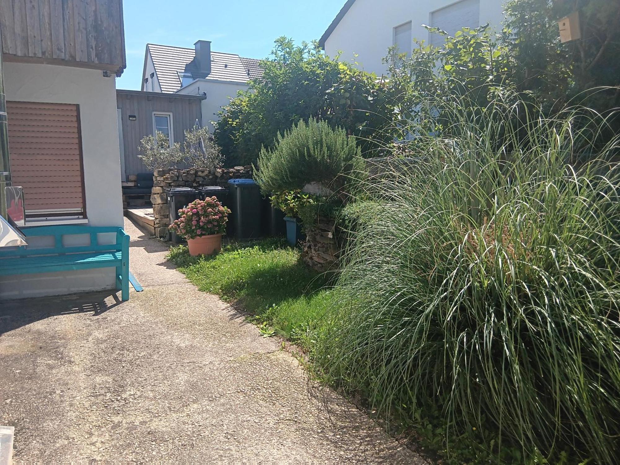 Ferienwohnung Mattheiser Weiher Trevír Exteriér fotografie